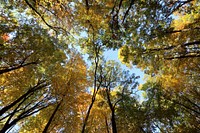 Fall Hiking. Fall at Devil's Lake State Park in Wisconsin. Original public domain image from Flickr