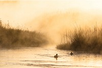 Morning steam on the Madison River. Original public domain image from Flickr