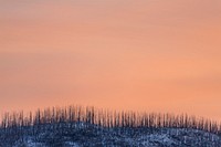 Pastel Sunrise over Howe Ridge. Original public domain image from <a href="https://www.flickr.com/photos/glaciernps/25711252203/" target="_blank" rel="noopener noreferrer nofollow">Flickr</a>