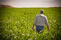 Rocky Schwagler, NRCS district conservationist in Forsyth, Mont., worked with farmer Jason Brewer to implement conservation practices like no-till farming and irrigation water management. June 2017. Rosebud County, Montana. Original public domain image from Flickr