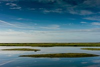 Leighton Moss