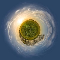 Flowers meadow mini planet. Free public domain CC0 photo.