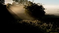 Silverdale Early Morning. Original public domain image from Flickr