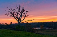 Silverdale at Dawn. Original public domain image from Flickr