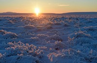 The sun rises over the Arctic tundra in the Northwest Arctic Borough, Alaska, Dec. 1, 2016. U.S. Original public domain image from Flickr