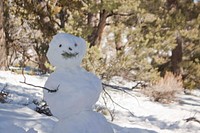 Winter in the Spring Mountains National Recreation Area. Original public domain image from Flickr