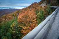 Foothills Parkway, November 2018 Joye Ardyn Durham.