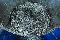 Metal shavings are seen in a bin at the 3rd Maintenance Squadron metals fabrication shop on Joint Base Elmendorf-Richardson, Alaska, Jan. 27, 2017. The Aircraft Metals Technology Airmen measure broken or worn parts, draw working sketches, make templates, perform precision grinding and remove poisonous or corrosive deposits from parts, and write programs for machines using manual and computer-aided manufacturing. (U.S. Air Force photo/Justin Connaher). Original public domain image from Flickr