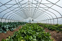 Visitors to the 93rd Annual Agriculture Outlook Forum took a field trip to the University of District of Columbia (UDC) Urban Farm in Beltsville, MD, Feb. 22, 2017.