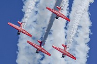 The AeroShell aerobatic team performs during the South Carolina National Guard Air and Ground Expo at McEntire Joint National Guard Base, South Carolina, May 7, 2017.