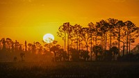 Big Cypress National Preserve. Original public domain image from Flickr