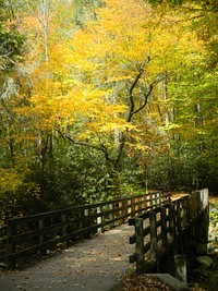 Kephart Prong Trailhead, October 2011 Christine Hoyer.