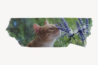 Cat smelling flower, ripped washi tape, Spring image