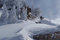 A late winter storm brought cold temperatures for an unusually long period of time, creating stable avalanche conditions and great powder skiing in Snowbasin Backcountry, Ogden Ranger District, Uinta-Wasatch-Cache National Forest, Utah. Original public domain image from Flickr