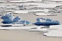 A melting ice floe in the Arctic Ocean resembles an alligator Aug. 12, 2009.Photo Credit: Patrick Kelley, U.S. Coast Guard. Original public domain image from Flickr