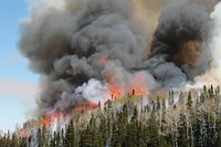 Flames and smoke rise from the South Monroe, USA. Original public domain image from Flickr