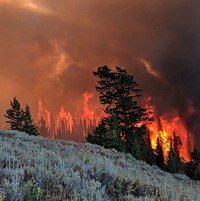 Firing operations beginning to pick up momentum as burners work their way down slope through the timber. Fall Creek on the Caribou National Forest in between Commissary and Fourth of July Ridge. Forest Service photo by Erich Horn Jr. Original public domain image from Flickr