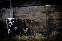 Low Bankside Farm. Original public domain image from Flickr