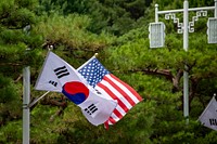 South Korean and US flag during President Trump visiting Seoul. Original public domain image from Flickr