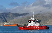 Piaka Tug Port Lyttleton.