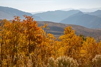 Overlooking the Yellowstone River drainage from Custer Gallatin National Forestby Diane Renkin. Original public domain image from Flickr