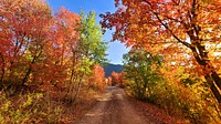 Fall colors down a dirt road in the Cub River Area. Original public domain image from Flickr