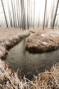 Foggy sunrise at Tangled Creek. Original public domain image from Flickr