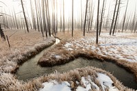 Foggy sunrise at Tangled Creek. Original public domain image from Flickr