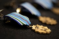 3rd Wing Airmen awarded Joint Service Achievement Medals for recovery effort during Operation Colony Glacier. Original public domain image from Flickr