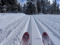 A skier in Bear Basin, located on the McCall Ranger District in the Payette National Forest, USA. Original public domain image from Flickr