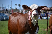 Estados Unidos en la Expo Prado 2021