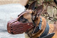 169th Fighter Wing Security Forces conducts inter-agency active shooter exercise.