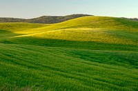 A farm located near Moscow, Idaho on July 9, 2008. USDA photo by Bob Nichols. Original public domain image from Flickr