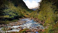 Hollyford River.