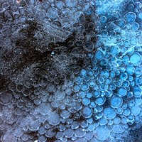 Icy Blueberries. Original public domain image from Flickr