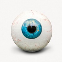 Human eyeball, isolated image