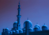 Sheikh Zayed Grand Mosque. Free public domain CC0 photo.