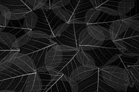 Black leaf pattern. Free public domain CC0 photo.