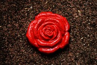 Red rose background. Free public domain CC0 photo.