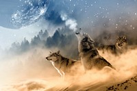 Aesthetic howling wolf, animal background. Free public domain CC0 photo.