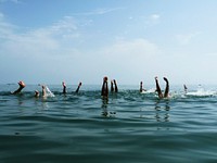 Friends swimming in sea. Free public domain CC0 photo.