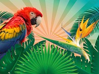 Tropical parrot collage. Free public domain CC0 image.