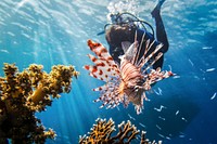 Free person diving in sea image, public domain travel CC0 photo.