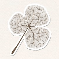 Doodle brown clover leaf sticker with a white border vector