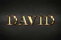 David typography in gold effect design element 
