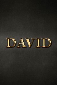 David typography in gold effect design element 
