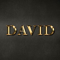 David typography in gold effect design element 