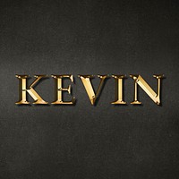 Kevin golden name typography design element