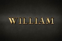 William golden name typography design element