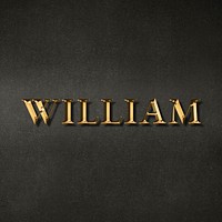 William golden name typography design element